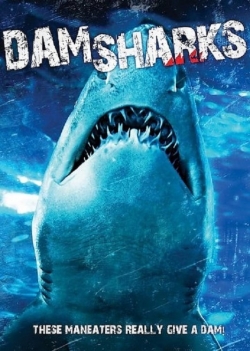 Dam Sharks!